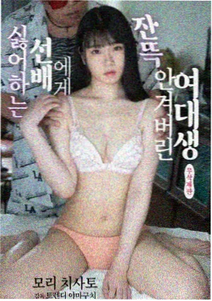 城中之城 电视剧免费看